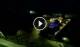 Alba Adriatica 09.07.2025 03:15