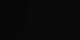 Melchsee-Frutt 01.07.2025 03:54