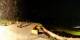 Verbier 21.06.2025 03:56