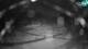 Rogla 09.06.2025 03:17