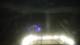Middlefield, Connecticut 16.03.2025 03:29