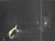 Hessisch Oldendorf 30.04.2025 03:18
