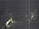 Hessisch Oldendorf 01.05.2025 03:18