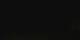 Potsdam 09.05.2025 03:18