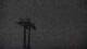 Lermoos 22.03.2025 03:08