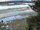 McGrath, Alaska 30.06.2025 03:47