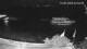 Huvahendhoo (Atoll d'Ari) 15.06.2025 03:08