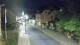 Karpacz 20.06.2025 03:19