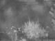 Benillup 06.07.2025 03:21