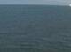 AIDAbella 19.06.2025 03:22