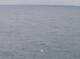 AIDAbella 04.07.2025 03:22