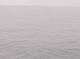 AIDAbella 24.06.2025 03:22