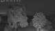 Mandelsloh 09.06.2025 03:22