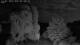 Mandelsloh 14.07.2025 03:22