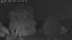 Mandelsloh 30.04.2025 03:22