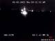 Lower Sugarloaf Key, Florida 30.04.2025 03:13
