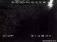 Tavernier, Florida 21.04.2025 03:13