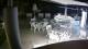 Bellaria-Igea Marina 09.06.2025 03:48