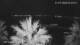 Split 30.06.2025 03:23