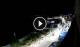 Santa Cesarea Terme 30.04.2025 03:23
