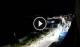 Santa Cesarea Terme 01.05.2025 03:23