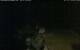 Walton 11.07.2025 03:08
