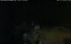 Walton 15.07.2025 03:08
