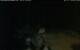 Walton 06.07.2025 03:08