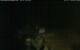 Walton 08.07.2025 03:08