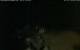 Walton 15.06.2025 03:08