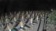 Castiglione della Pescaia 15.05.2025 03:23