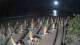 Castiglione della Pescaia 18.03.2025 03:14