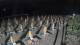 Castiglione della Pescaia 14.07.2025 03:23