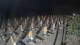 Castiglione della Pescaia 14.06.2025 03:23