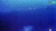 Kolan (Pag) 30.04.2025 03:24