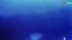 Kolan (Pag) 09.06.2025 03:24
