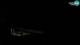 San Vincenzo 30.04.2025 03:24