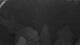 Huntlosen 13.07.2025 03:24
