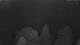 Huntlosen 09.06.2025 03:24