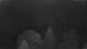 Huntlosen 02.06.2025 03:24