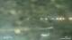 Lerici 08.07.2025 03:26