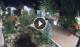 Gatlinburg, Tennessee 05.05.2025 03:17