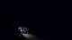 Jurmala 12.07.2025 03:18