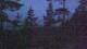Narva-Jõesuu 05.07.2025 03:18