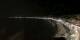 Nizza 01.05.2025 03:27