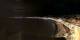 Nizza 09.05.2025 03:27