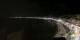 Nice 30.04.2025 03:27