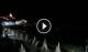 Cervo 09.07.2025 03:27