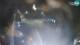 Ogulin 12.07.2025 03:27
