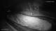 Altenberg (Erzgebirge) 01.05.2025 03:48